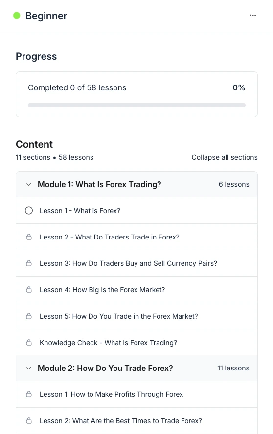 Tradegeek - TRU's educational platform